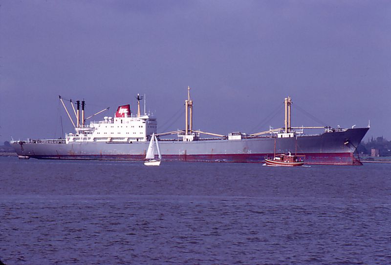 DELPHIC REEFER 9,710 g.t. built Bergens M/V 1972.
Ex P&O's WILD AVOCET, seen here laid up on the River Blackwater. Date: 3 October 1982.